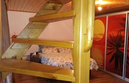 Casa, 120 mp, teren 4716 mp, piscina, pivnita, zona Est