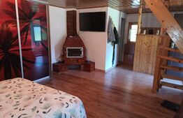 Casa, 120 mp, teren 4716 mp, piscina, pivnita, zona Est