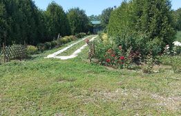 Casa, 120 mp, teren 4716 mp, piscina, pivnita, zona Est