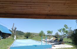 Casa, 120 mp, teren 4716 mp, piscina, pivnita, zona Est