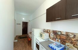 Garsoniera, 24mp, zona Terezian