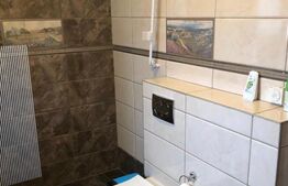 Casa 3 camere, 110 mp, cartier Tineretului