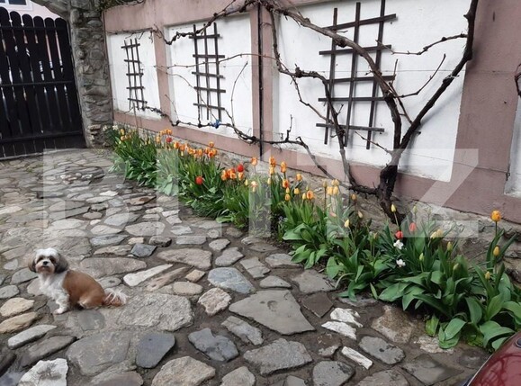 Casa de vânzare 3 camere Sălişte - 123405CV | BLITZ Sibiu | Poza4