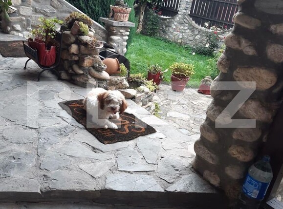 Casa de vânzare 3 camere Sălişte - 123405CV | BLITZ Sibiu | Poza3