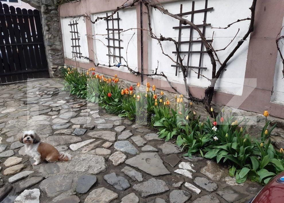 Casa de vânzare 3 camere Sălişte - 123405CV | BLITZ Sibiu | Poza4