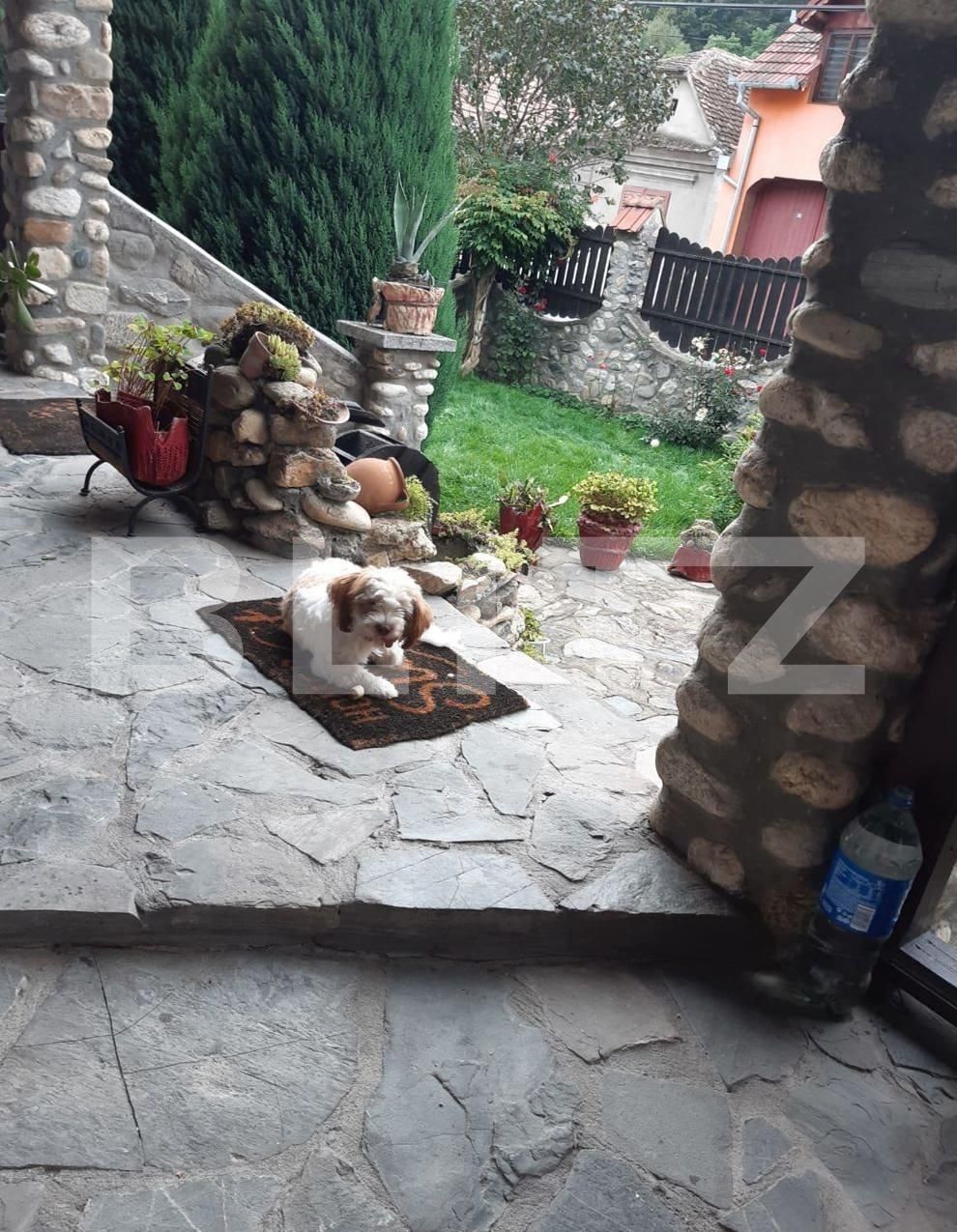 Casa de vânzare 3 camere Sălişte - 123405CV | BLITZ Sibiu | Poza3