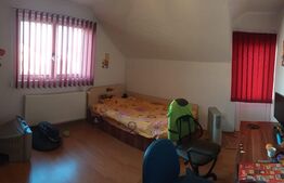 Casa cu etaj in Turnisor