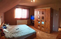 Casa cu etaj in Turnisor