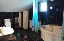 Casa cu etaj in Turnisor