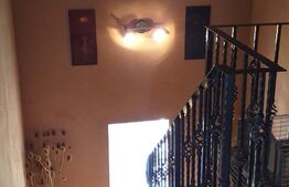 Casa cu etaj in Turnisor