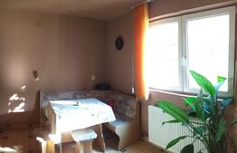 Casa cu etaj in Turnisor