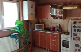 Casa cu etaj in Turnisor