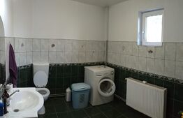 Casa cu etaj in Turnisor