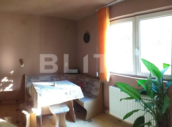 Casa de vânzare 4 camere Turnisor - 123647CV | BLITZ Sibiu | Poza3