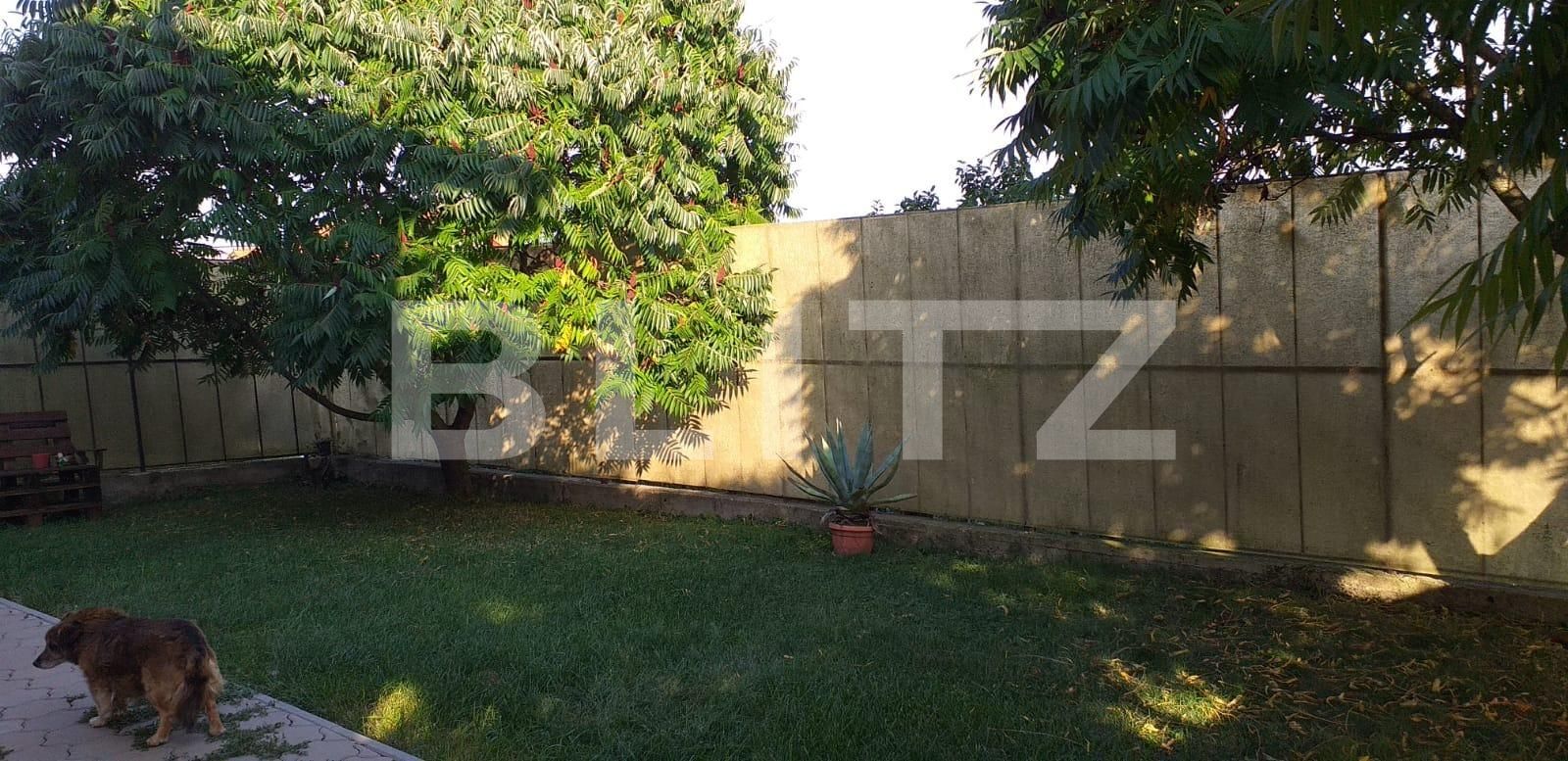 Casa de vânzare 4 camere Turnisor - 123647CV | BLITZ Sibiu | Poza10