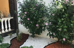 Casa-Vila 325 mp, teren, zona Terezian