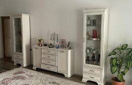 Casa-Vila 325 mp, teren, zona Terezian