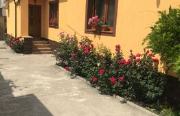 Casa-Vila 325 mp, teren, zona Terezian