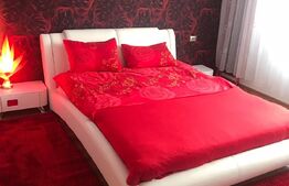 Casa-Vila 325 mp, teren, zona Terezian