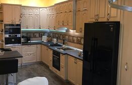 Casa-Vila 325 mp, teren, zona Terezian