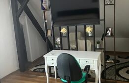 Casa-Vila 325 mp, teren, zona Terezian