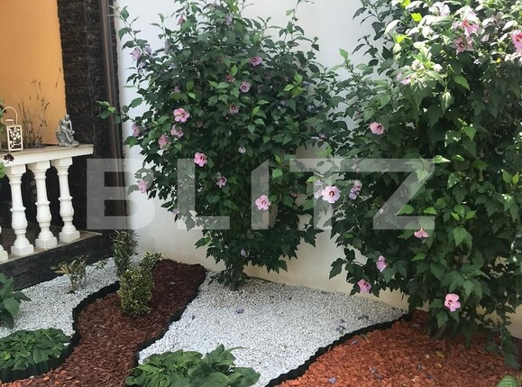 Casa de vânzare 7 camere Terezian - 123900CV | BLITZ Sibiu | Poza7