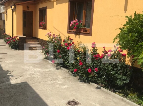 Casa de vânzare 7 camere Terezian - 123900CV | BLITZ Sibiu | Poza16