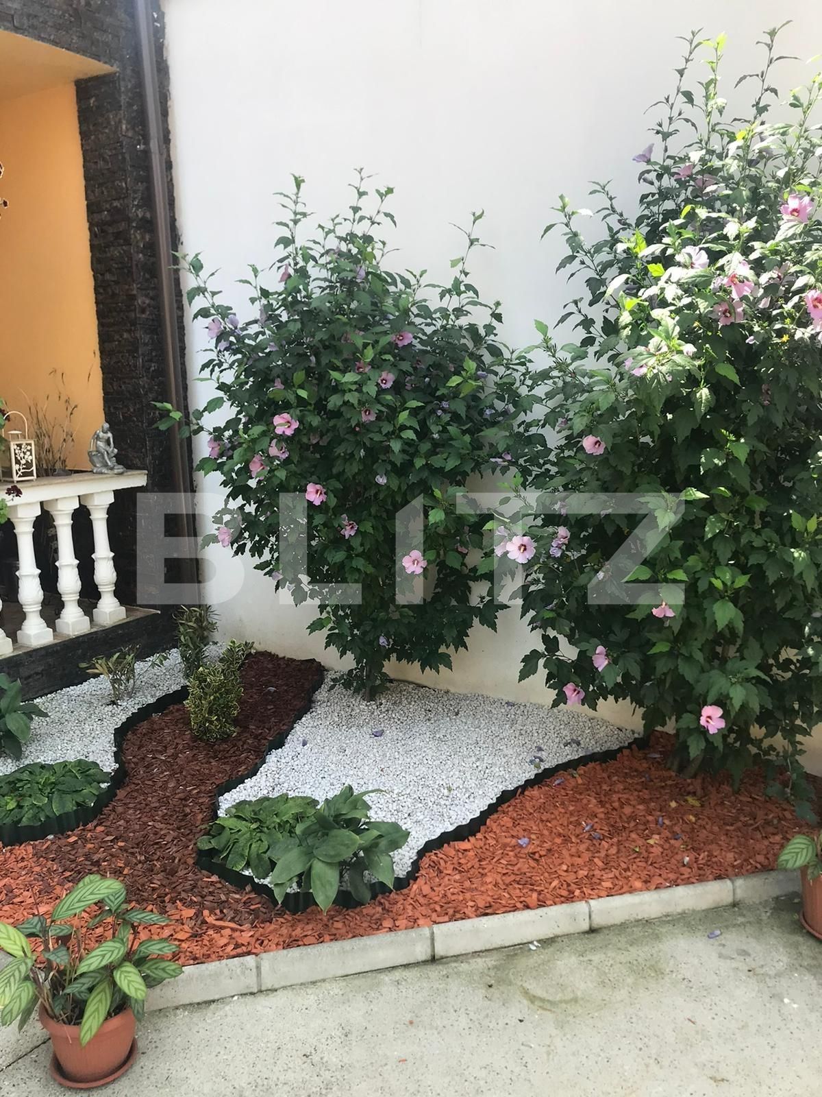 Casa de vânzare 7 camere Terezian - 123900CV | BLITZ Sibiu | Poza7