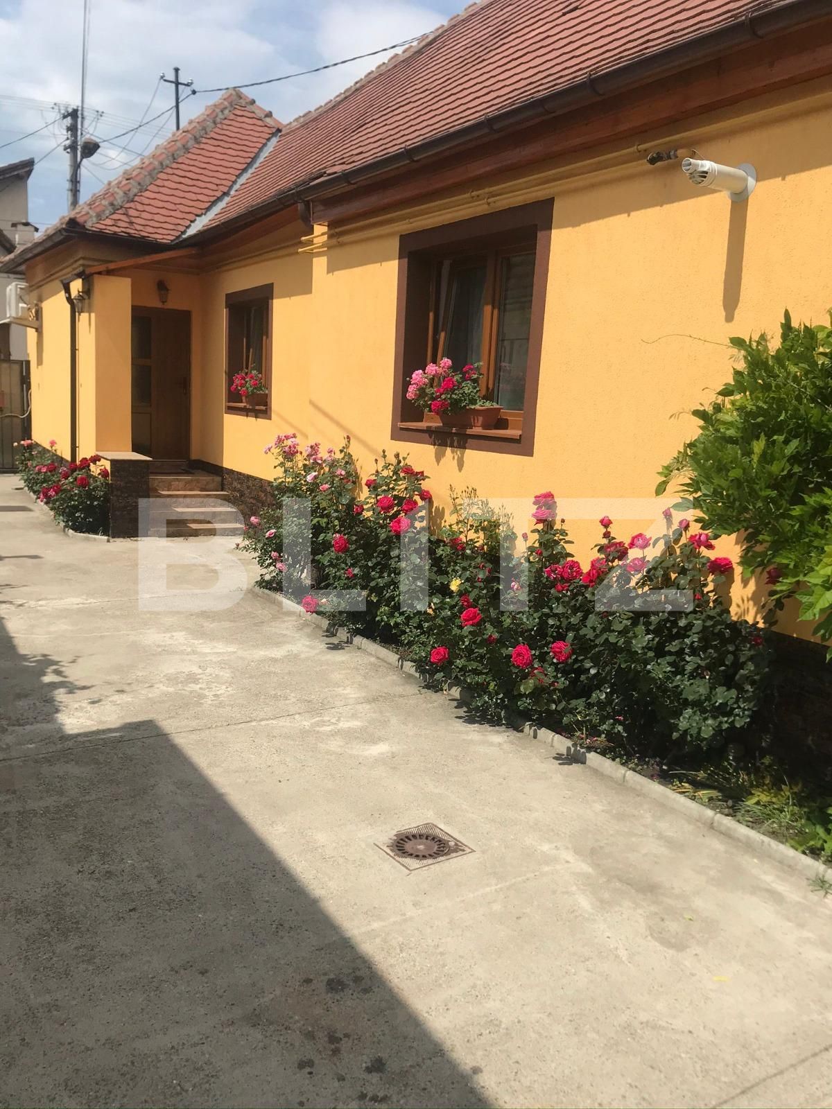 Casa de vânzare 7 camere Terezian - 123900CV | BLITZ Sibiu | Poza16