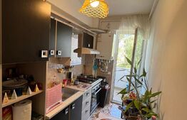 Garsoniera decomandata, zona Doamna Stanca