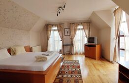 Casa-Pensiune-Vila Superba in Turnisor