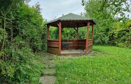 Casa-Pensiune-Vila Superba in Turnisor