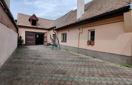 Casa-Pensiune-Vila Superba in Turnisor