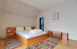 Casa-Pensiune-Vila Superba in Turnisor