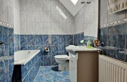 Casa-Pensiune-Vila Superba in Turnisor