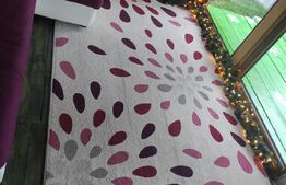 Cabana Sebesul de Sus