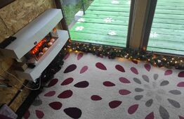 Cabana Sebesul de Sus