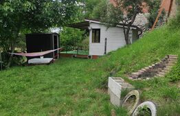 Cabana Sebesul de Sus