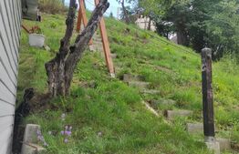 Cabana Sebesul de Sus