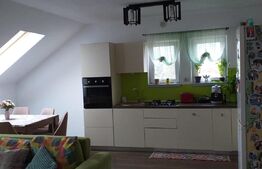 Casa compartimentata ca 2 apartamente, zona Centru