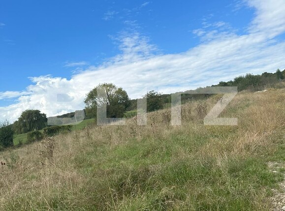 Teren de vânzare Cisnadie - 126561TV | BLITZ Sibiu | Poza2