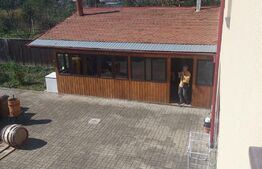 Casa+pensiune, 8 camere, cartier Selimbar 