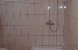 Casa de vacanta in Paltinis