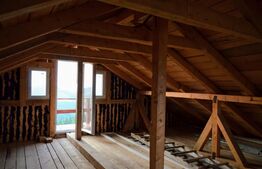 Casa de vacanta in Paltinis