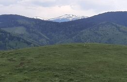 Casa de vacanta in Paltinis