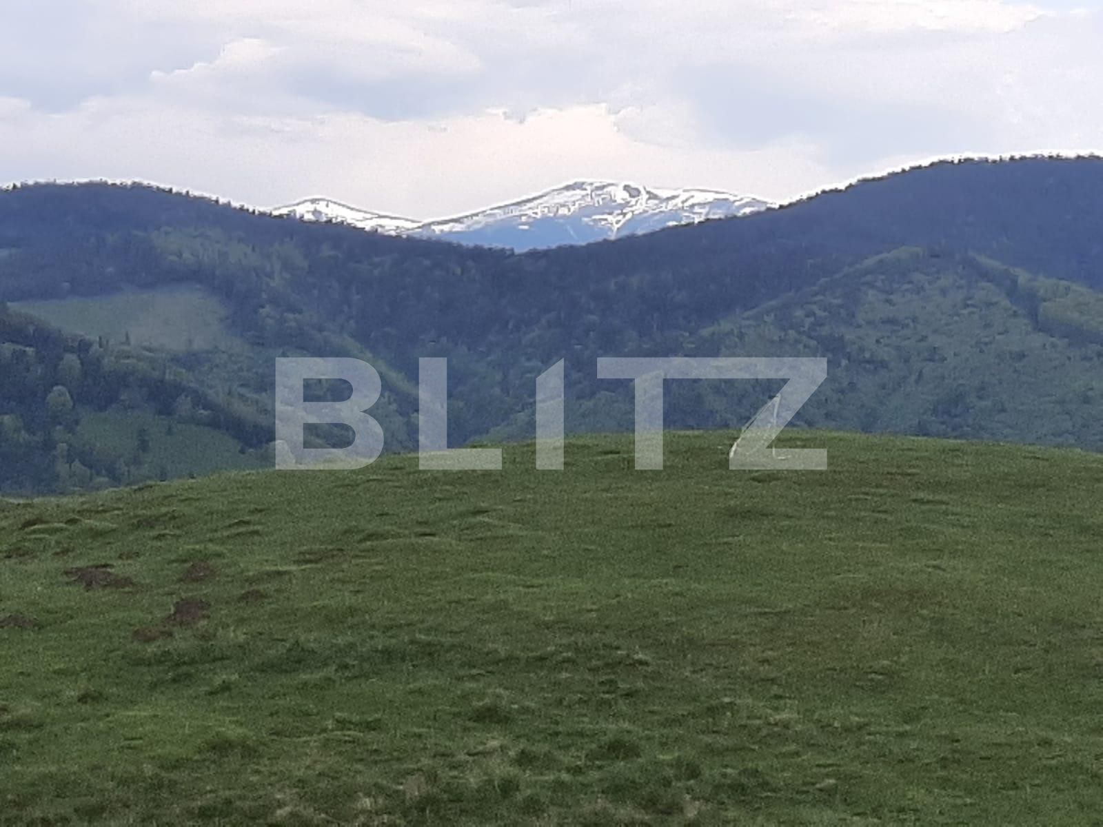 Casa de vânzare 6 camere Nord Est - 127492CV | BLITZ Sibiu | Poza10