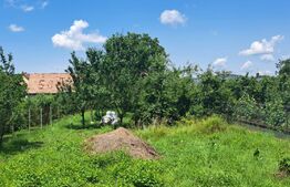 Casa 14 camere, 445 mp, teren, 1250 mp, Avrig