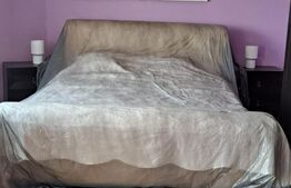 Casa 14 camere, 445 mp, teren, 1250 mp, Avrig