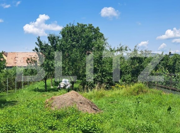 Casa de vânzare 14 camere Avrig - 128670CV | BLITZ Sibiu | Poza16