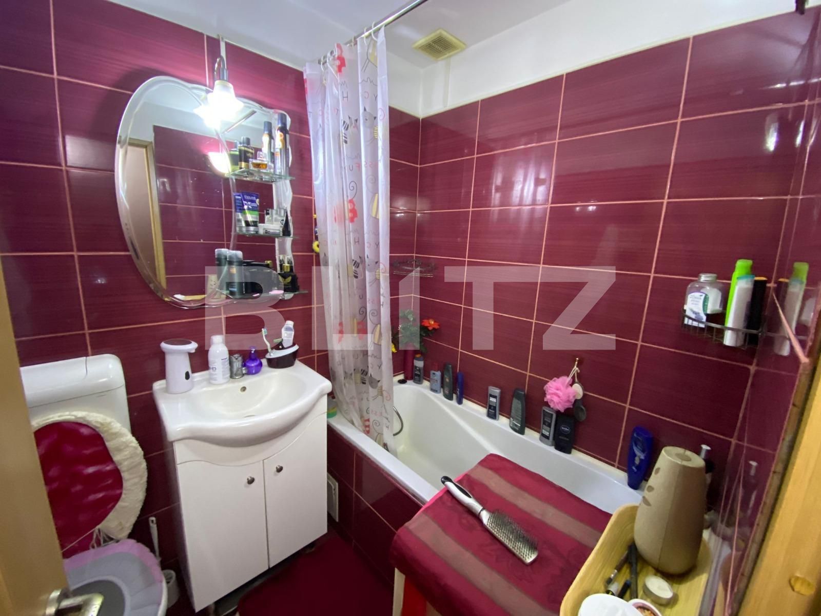 Apartament de vânzare 2 camere Terezian - 129595AV | BLITZ Sibiu | Poza6